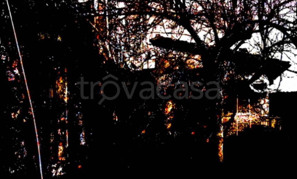 immagine annuncio 0 di 15