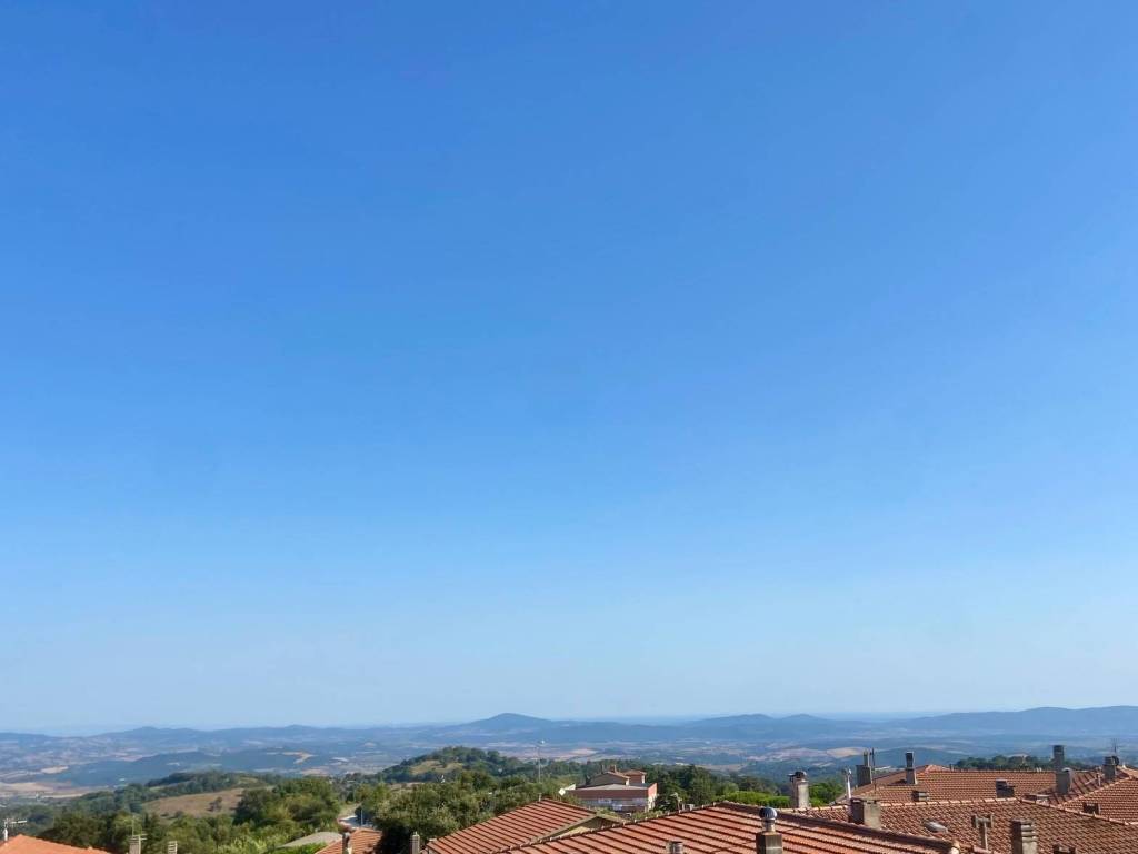 appartamento in vendita a Scansano