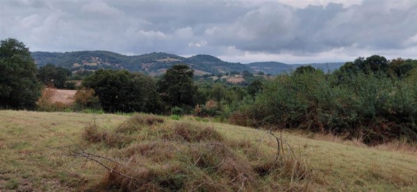 casale in vendita a Scansano