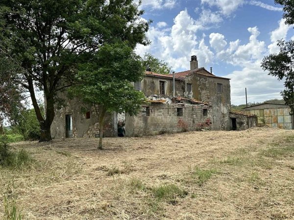 appartamento in vendita a Scansano