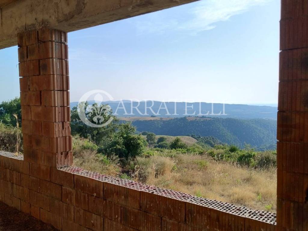terreno agricolo in vendita a Scansano