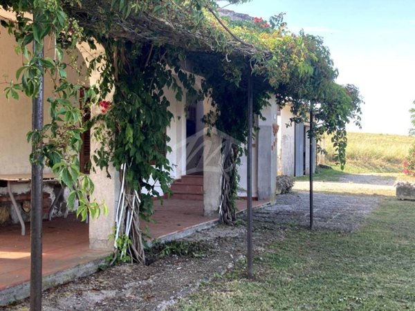 casa indipendente in vendita a Scansano in zona Pomonte