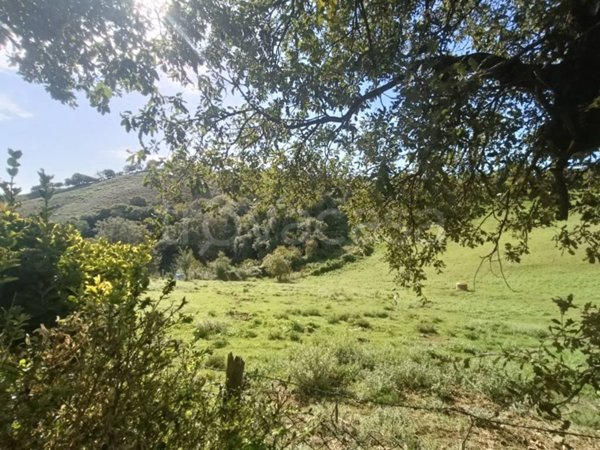 appartamento in vendita a Scansano in zona Polveraia