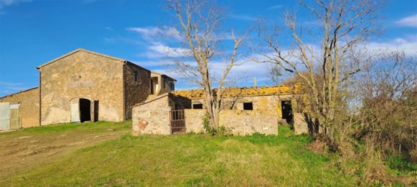 casa indipendente in vendita a Scansano in zona Pancole