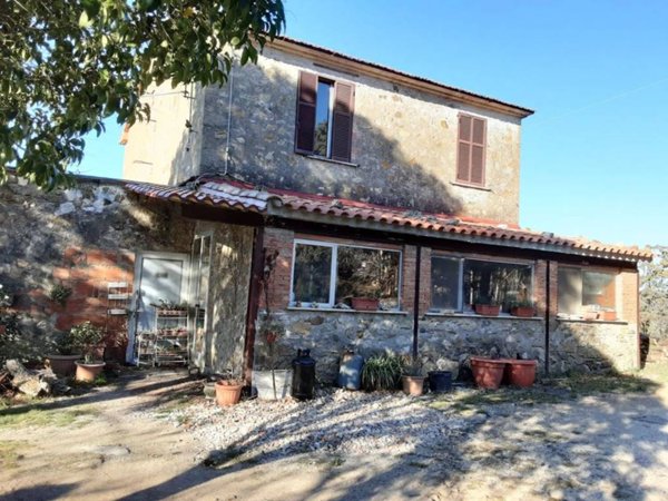 esavano in vendita a Scansano