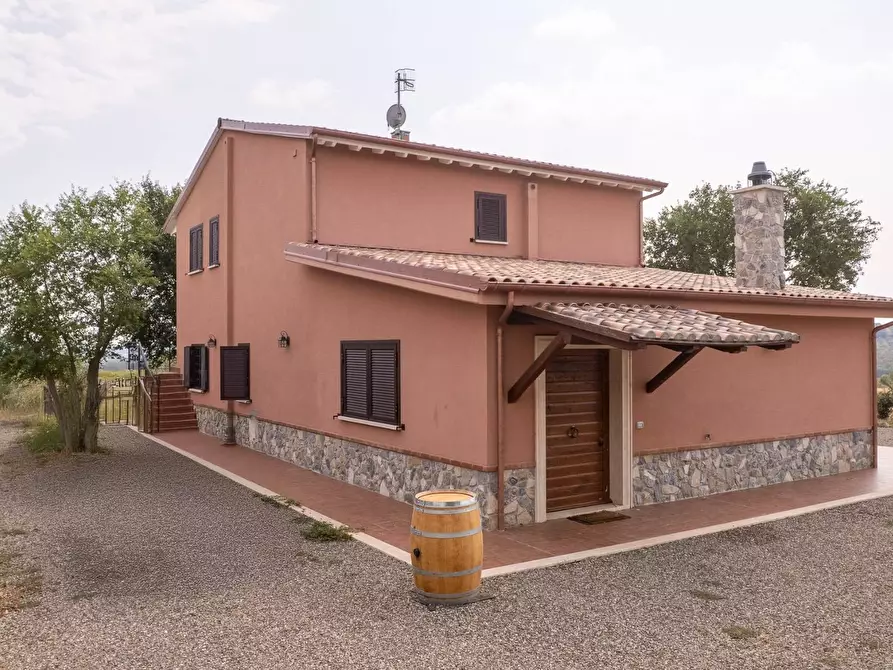 azienda agricola in vendita a Scansano