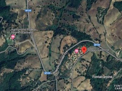 appartamento in vendita a Scansano