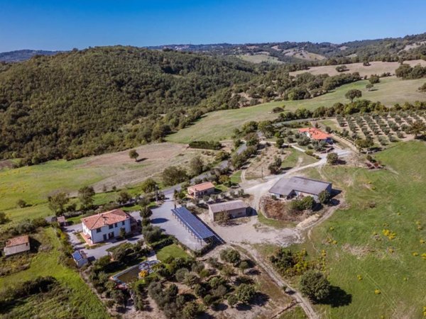 casa indipendente in vendita a Scansano
