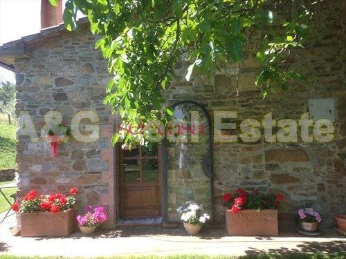 casa indipendente in vendita a Scansano in zona Pancole