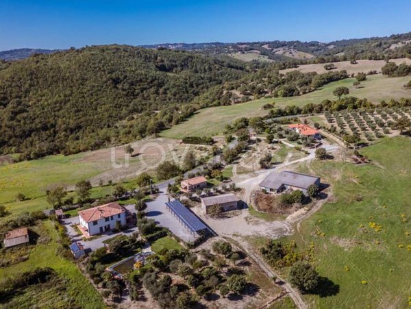 terreno agricolo in vendita a Scansano