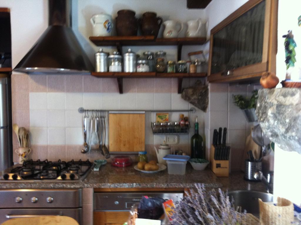 appartamento in vendita a Scansano