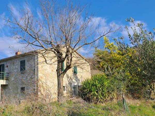 casa indipendente in vendita a Scansano in zona Poggioferro