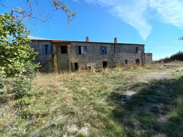 appartamento in vendita a Scansano