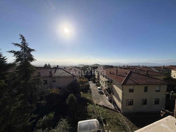 appartamento in vendita a Scansano