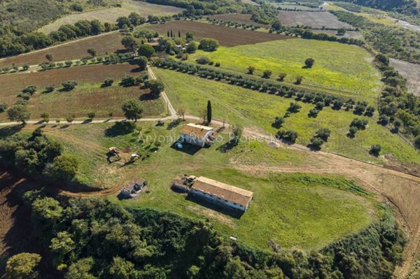 locale di sgombero in vendita a Scansano