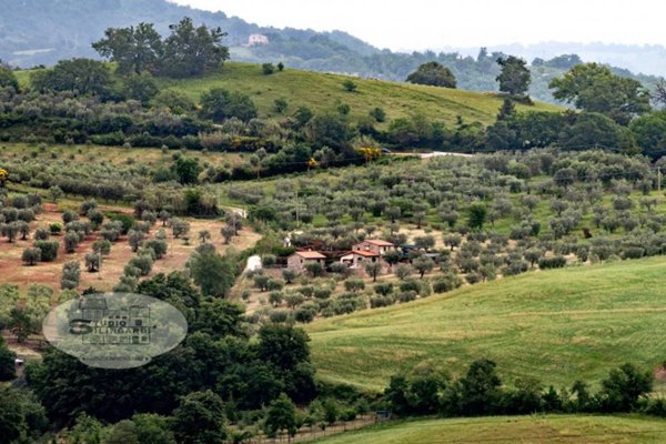 casa indipendente in vendita a Scansano