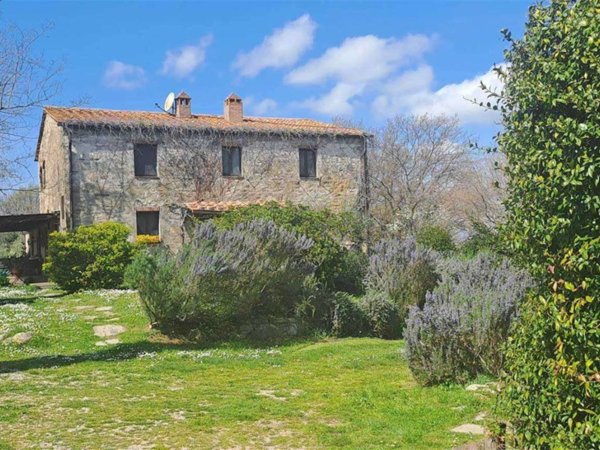 casa indipendente in vendita a Scansano in zona Murci