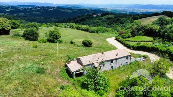 casa indipendente in vendita a Scansano