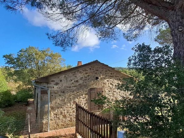 casa indipendente in vendita a Scansano