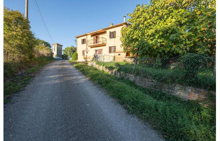 casa indipendente in vendita a Scansano in zona Poggioferro