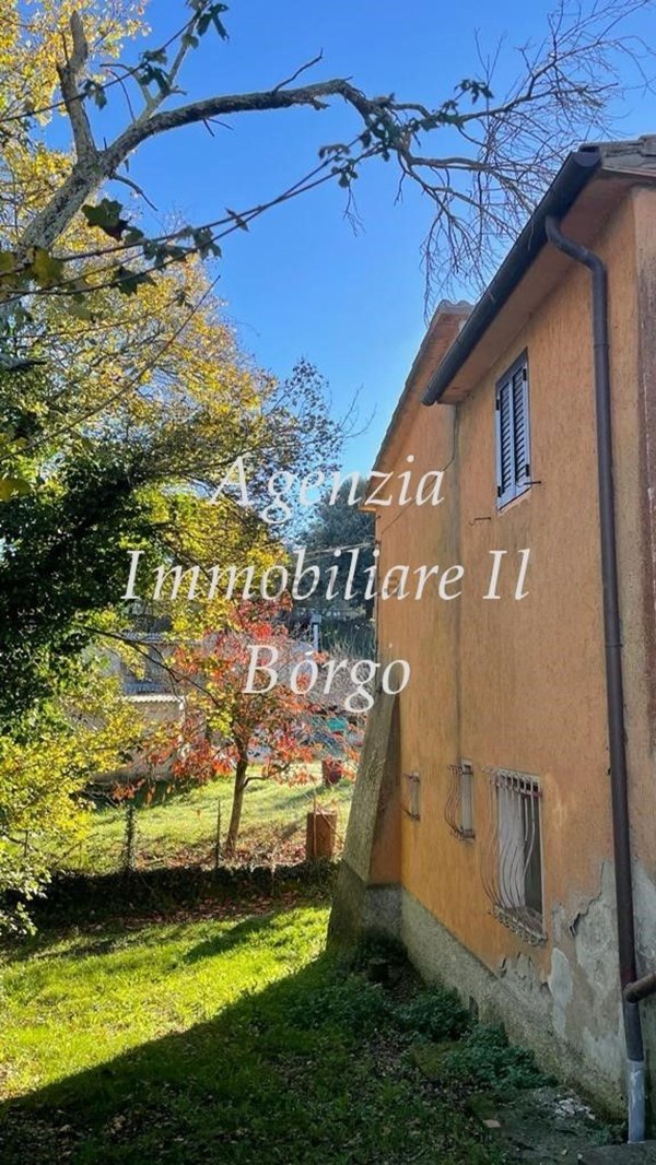 casa indipendente in vendita a Scansano