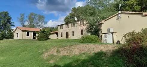 azienda agricola in vendita a Scansano in zona Poggioferro