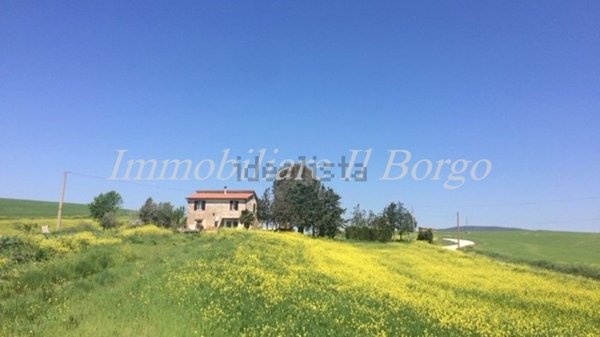 casale in vendita a Scansano in zona Pomonte