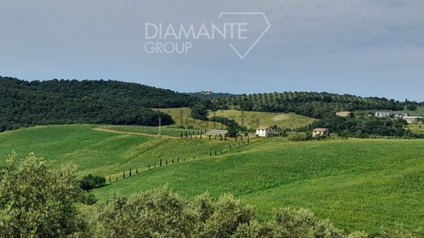 terreno agricolo in vendita a Scansano