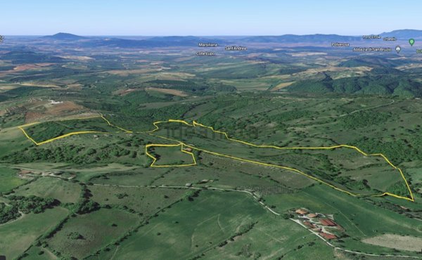 casale in vendita a Scansano