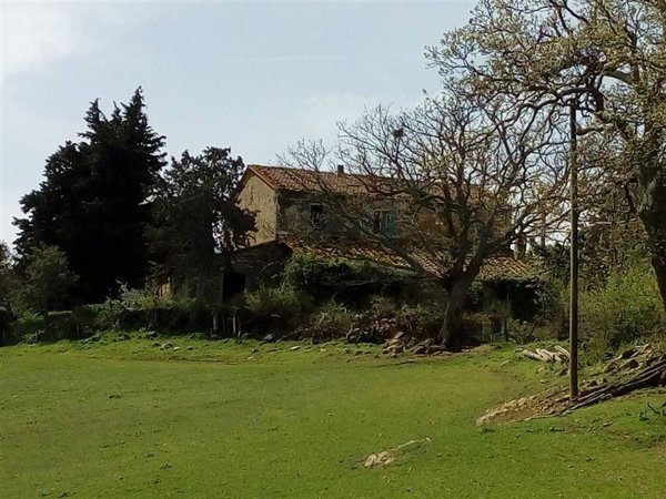 appartamento in vendita a Scansano