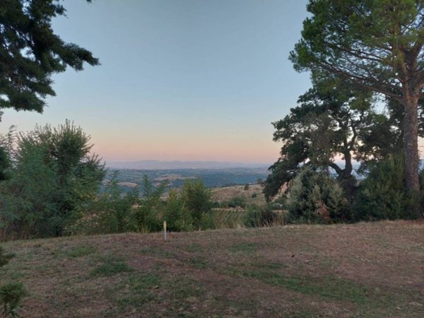 casa indipendente in vendita a Scansano