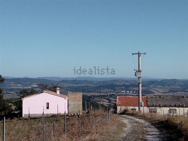 esavano in vendita a Scansano