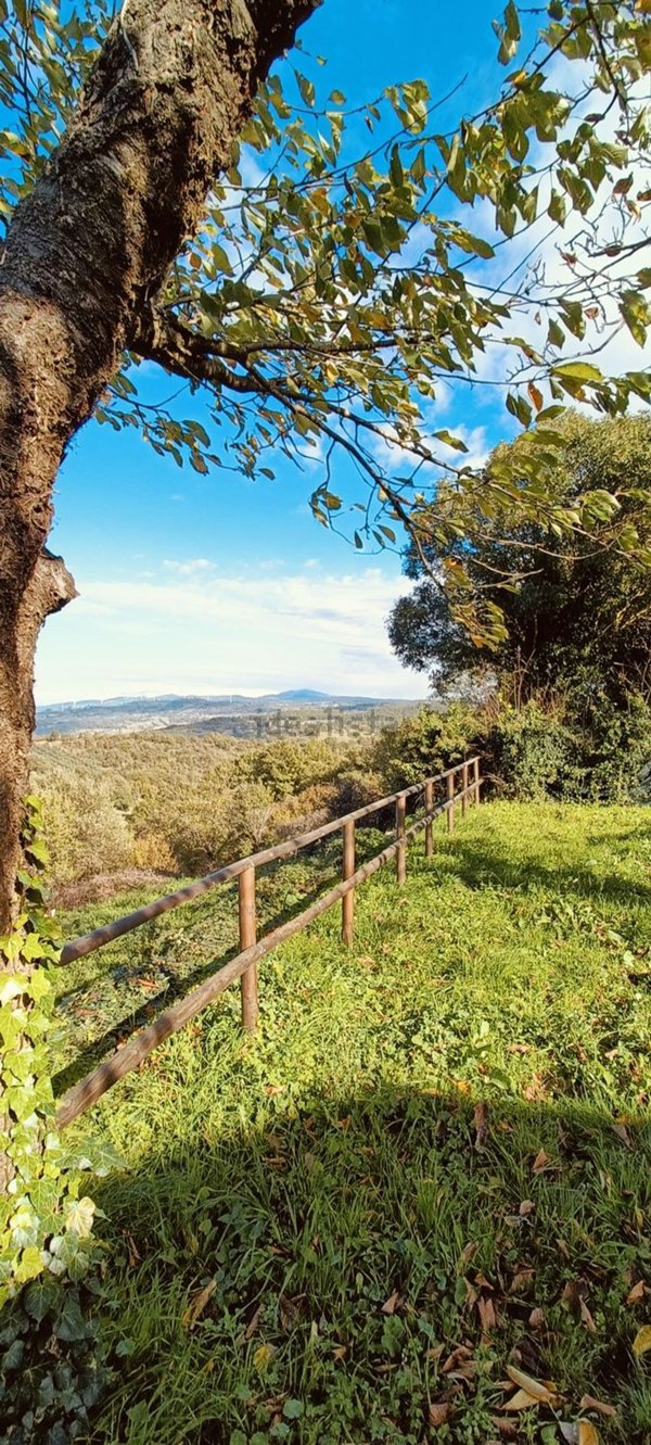 appartamento in vendita a Scansano