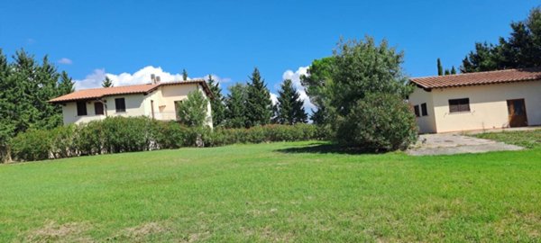 casa indipendente in vendita a Scansano