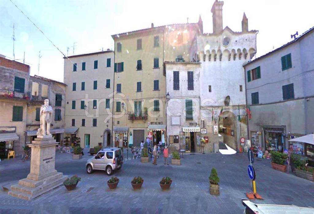 appartamento in vendita a Scansano