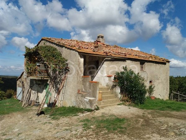 ufficio in vendita a Scansano