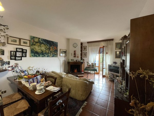 appartamento in vendita a Scansano