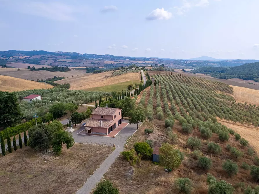 azienda agricola in vendita a Scansano