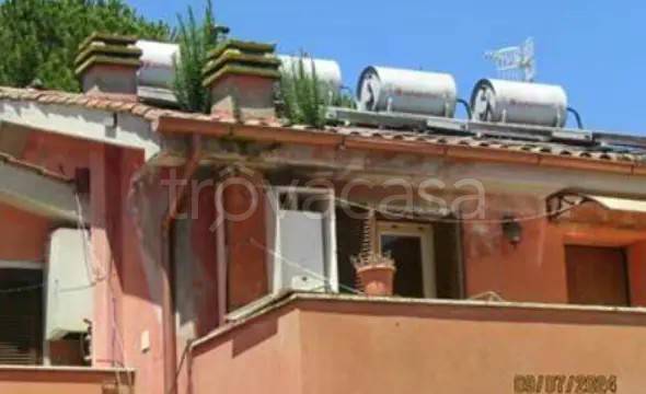 appartamento in vendita a Scansano in zona Pancole