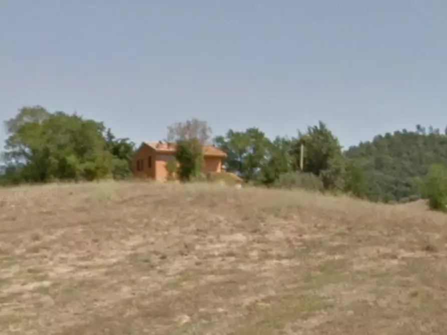 azienda agricola in vendita a Scansano