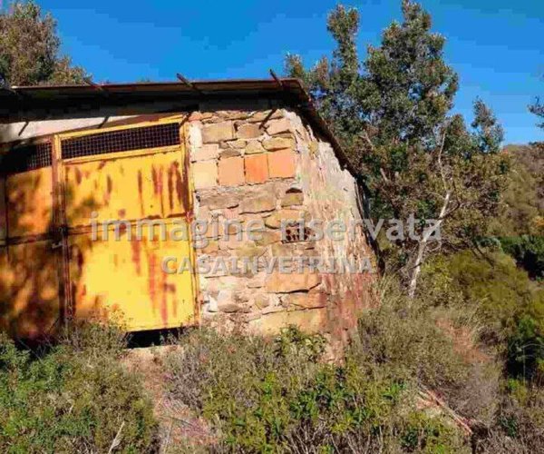 casa indipendente in vendita a Scansano in zona Pancole
