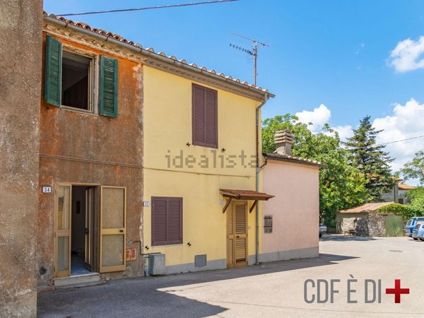 appartamento in vendita a Scansano in zona Murci