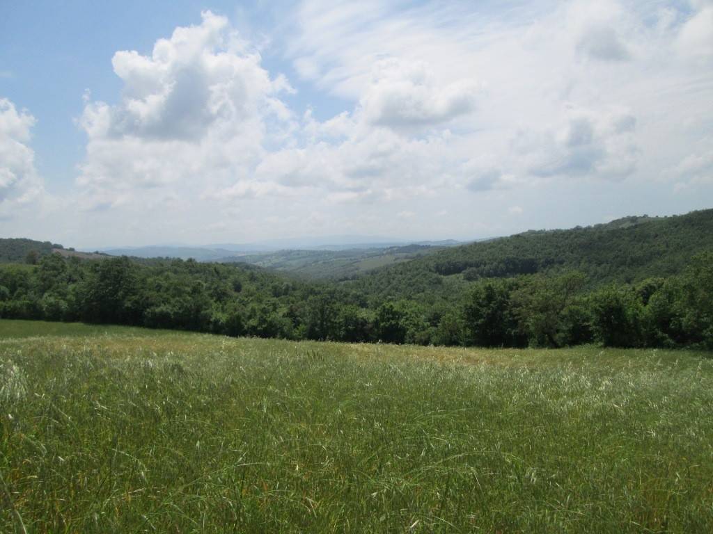 casa indipendente in vendita a Scansano