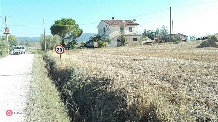 casa indipendente in vendita a Scansano