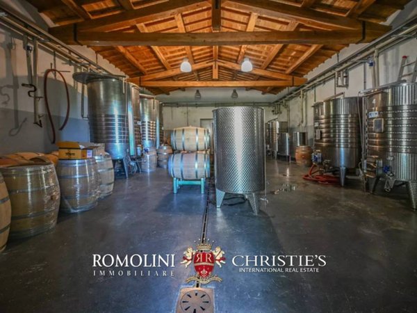 casa indipendente in vendita a Scansano