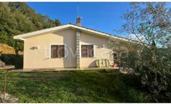 appartamento in vendita a Scansano in zona Montorgiali