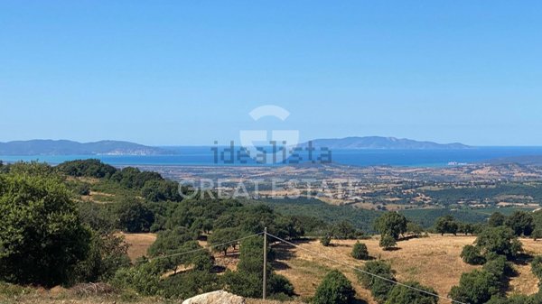 appartamento in vendita a Scansano