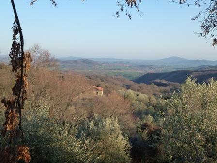 casa indipendente in vendita a Scansano
