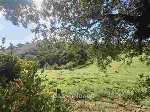 appartamento in vendita a Scansano in zona Polveraia