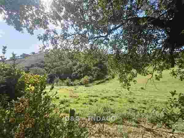casa indipendente in vendita a Scansano in zona Polveraia